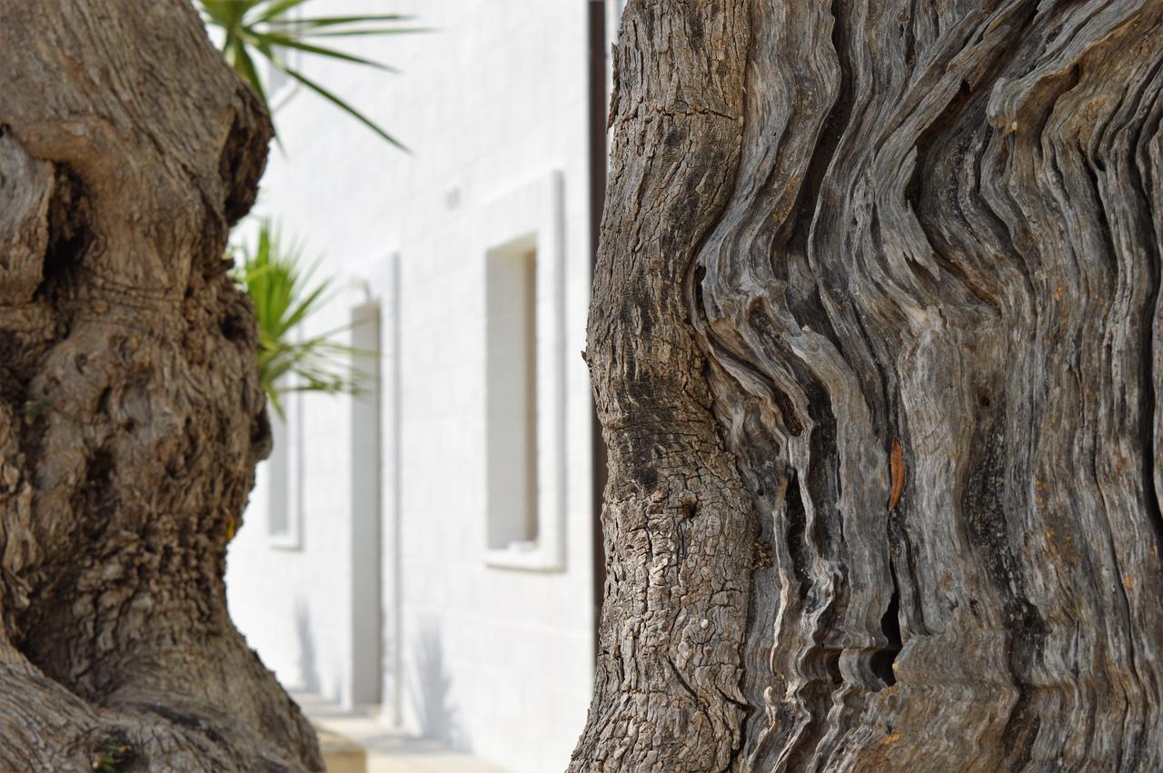 Masseria Torrepietra 莫诺波利 外观 照片